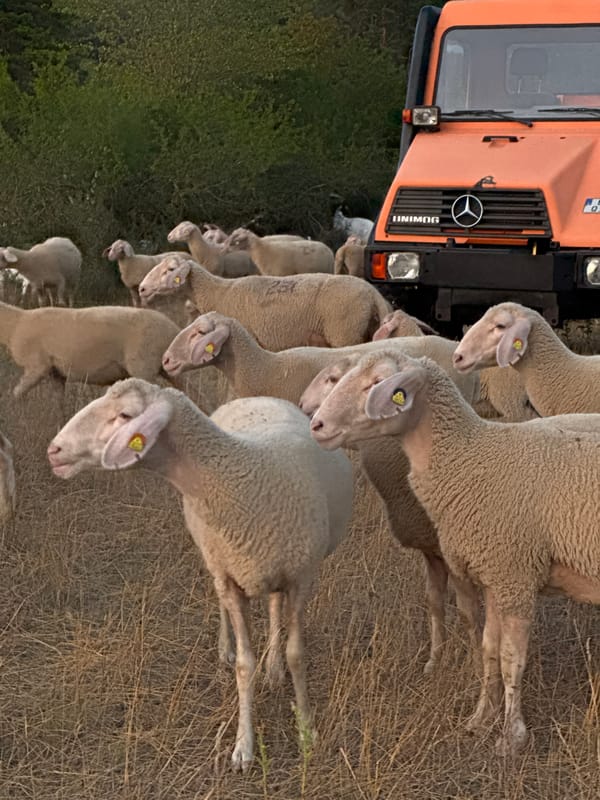 An eclectic hour in Wettstetten: trucks, flowers, cars, and ceramics