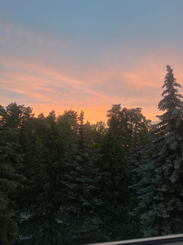 Sunset over Zarechny's evergreen skyline, watched from the neighborhood