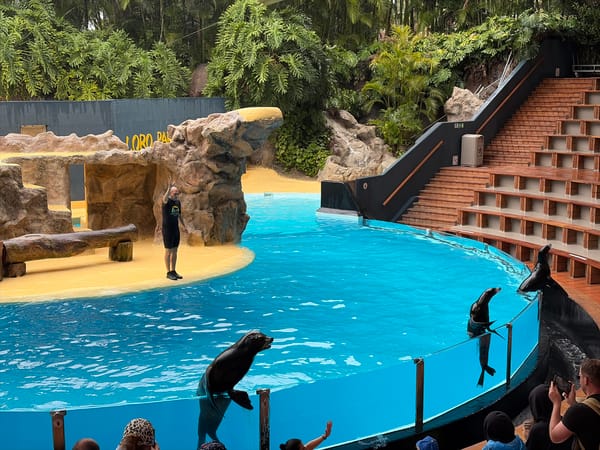 Loro Parque visitors witness orca show, jellyfish exhibits