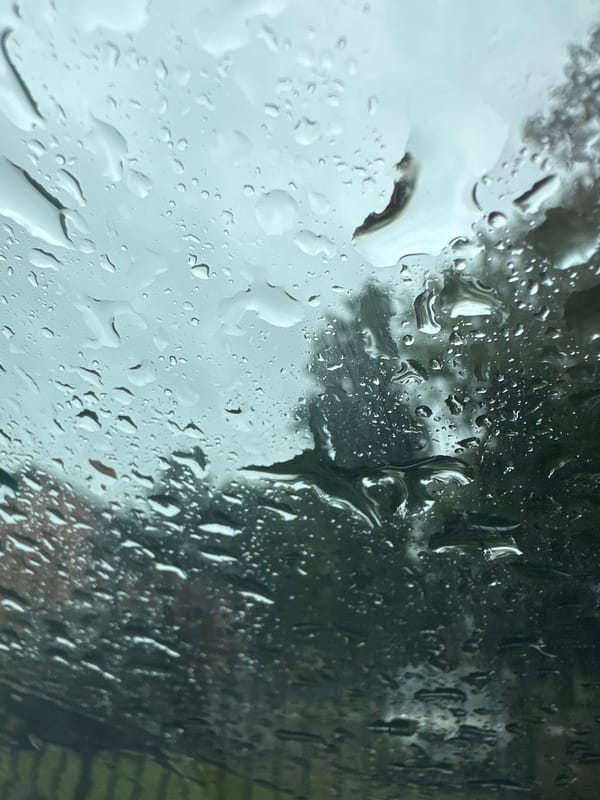Rainy morning in Monastyrshchina, viewed from inside a car