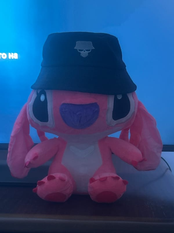 Evening sightings of plush toy and hooded figure in Pleven
