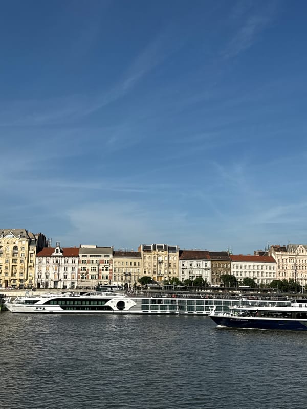 River cruise ships active along Budapest's Danube waterfront