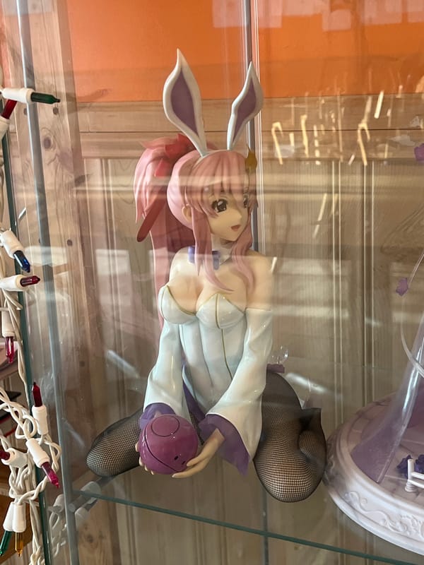 Anime figurine display documented in Aurora glass case