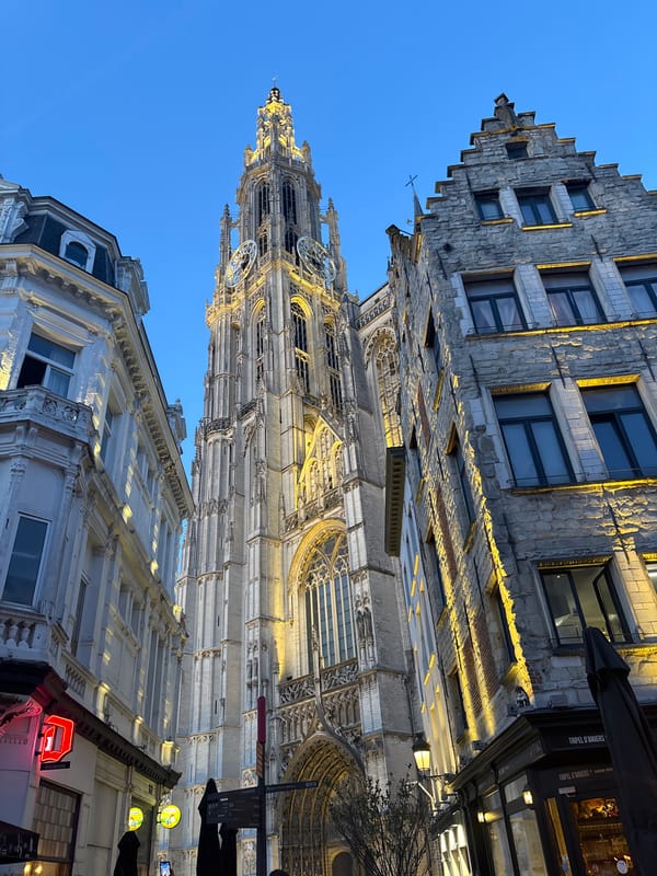 Cathedral spire illuminated against Antwerp night sky