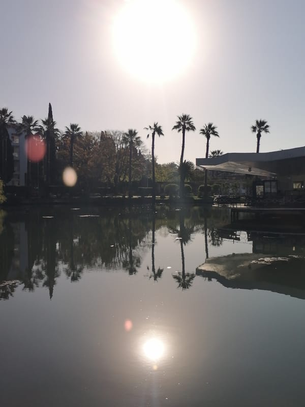 Morning stroll through New Athos botanical gardens captured