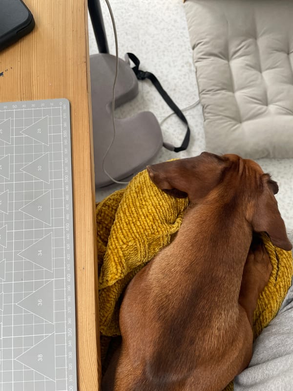 A quiet Russian afternoon: home, streets, and a dachshund