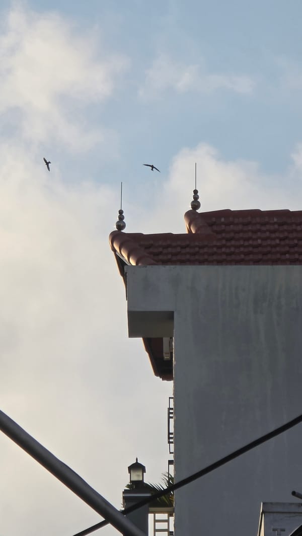 Daily street life documented around Nha Trang market area