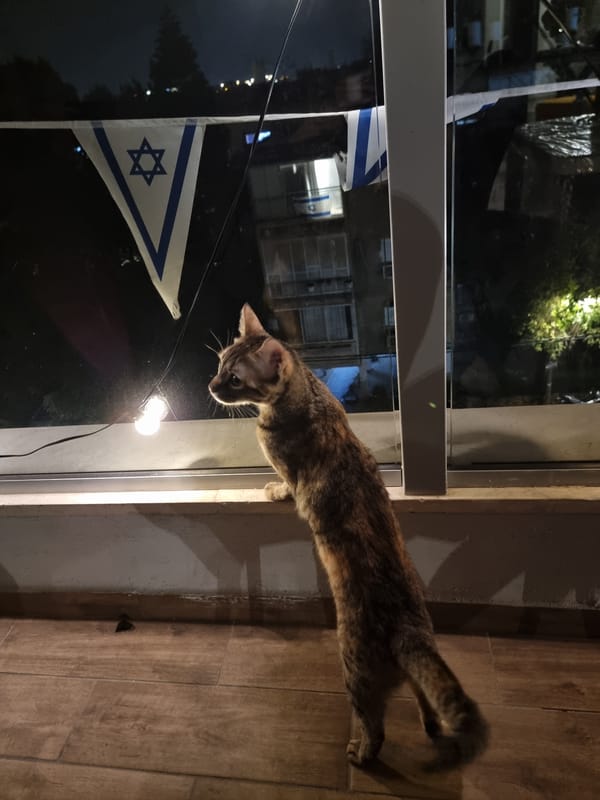 Evening domestic life captured in Ramat Gan neighborhood