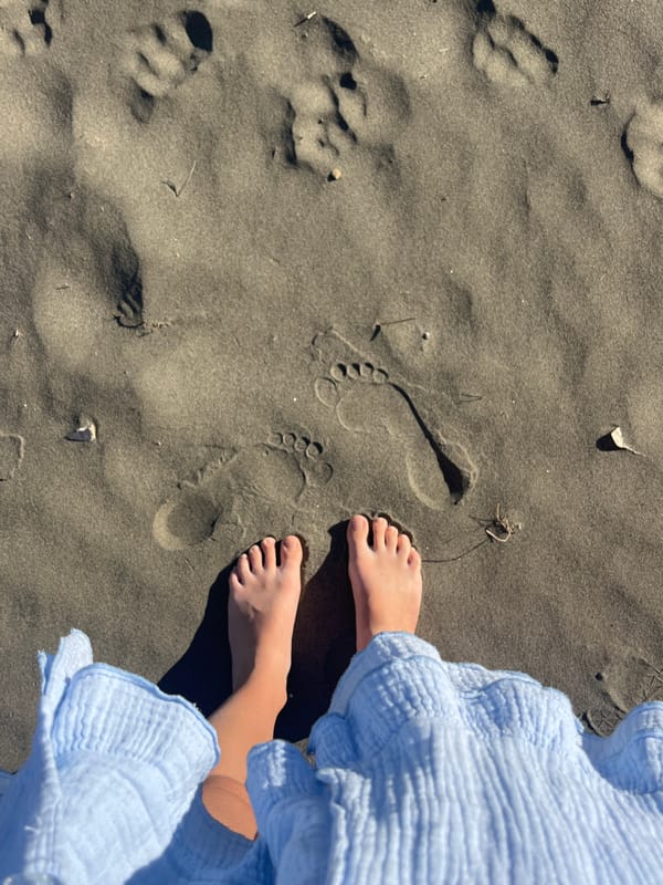 Early morning beach activities documented in Pistula, Montenegro
