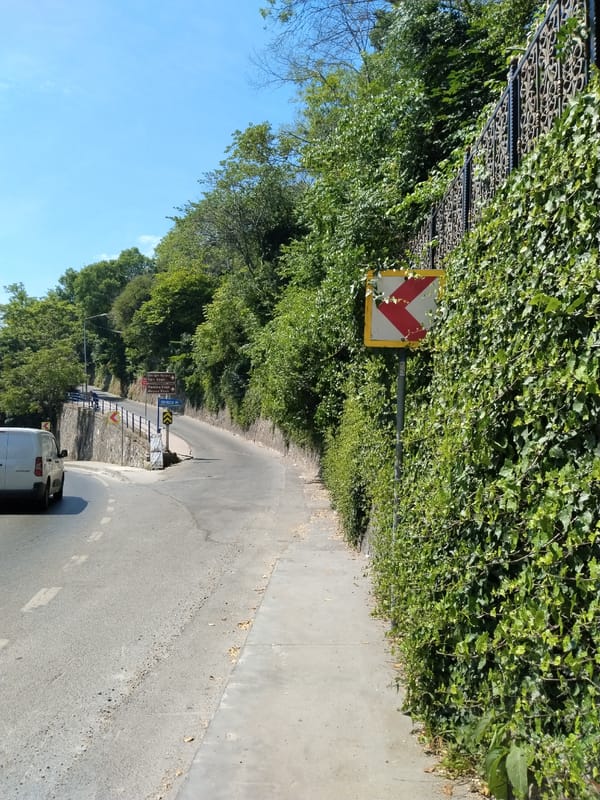 Morning drive through sunny Sarıyer captures contrails, ivy-covered roads