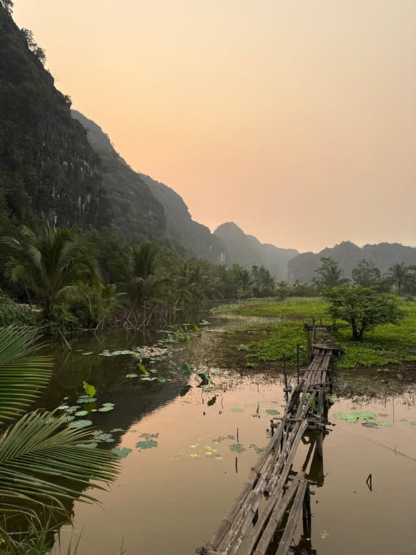 Wooden bridge over lily pad waterway documented in Vietnam