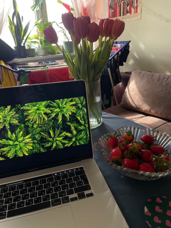 Quiet afternoon captured in Belgrade home with flowers, fruit