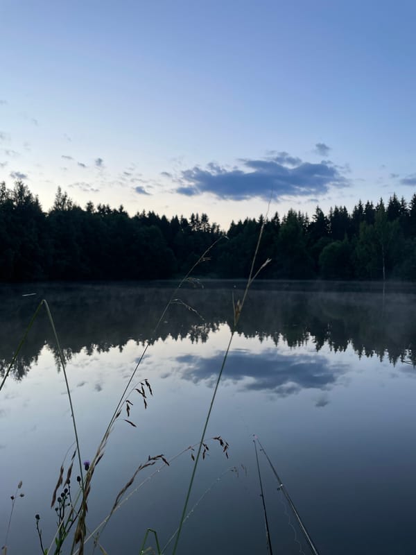 Still lake reflections at a Russian dacha settlement