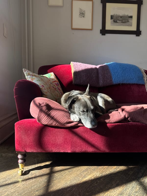 Evening apartment life documented in New York City