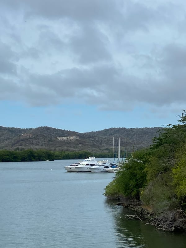 Yachts docked along tropical shoreline in Carenero, Venezuela