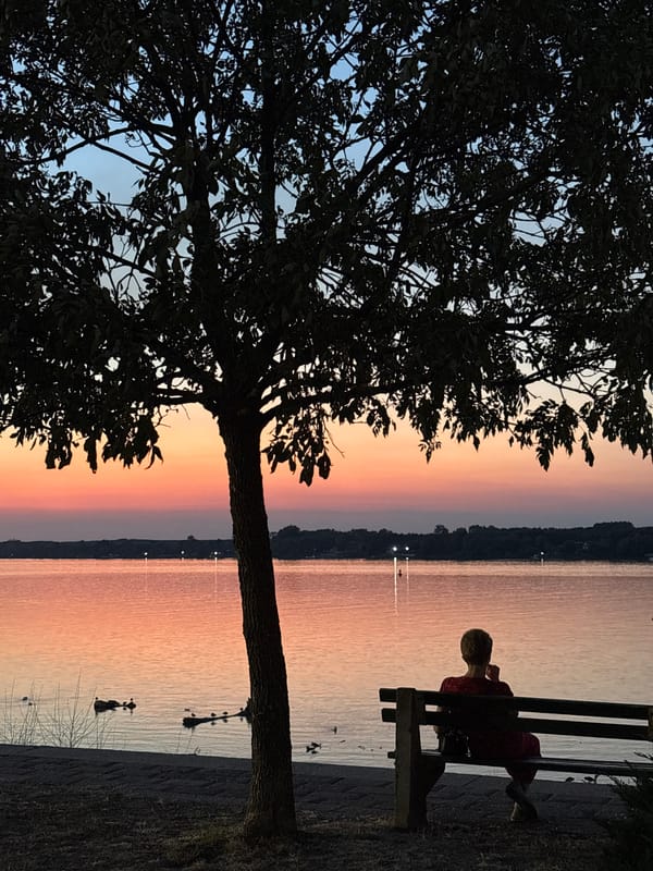 Quiet sunset moment on the Sava River, Belgrade