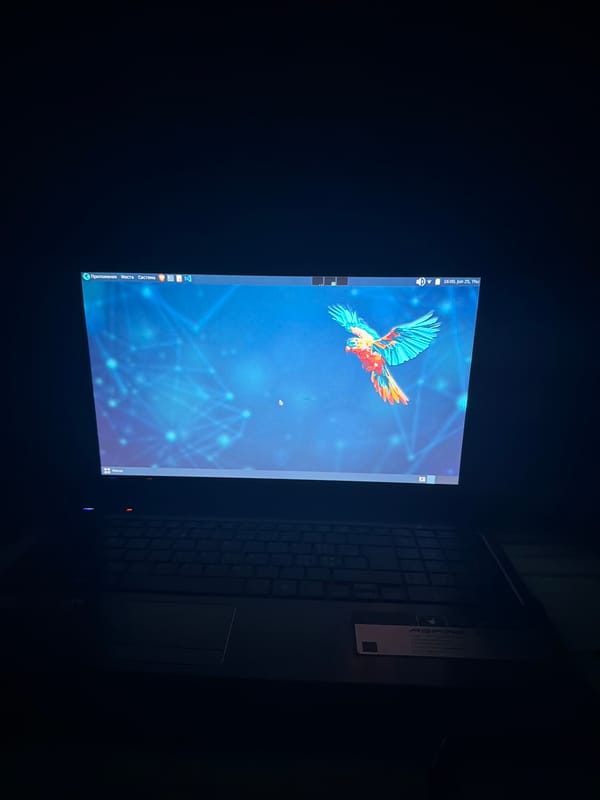 Laptop terminal session with security output, Dalgopol evening