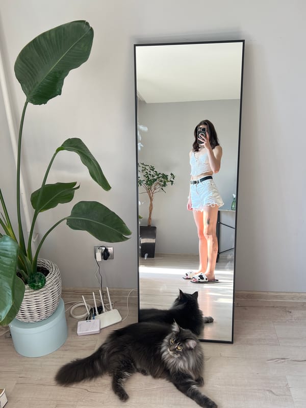 Mirror selfie series in a Ternopil apartment, summer morning