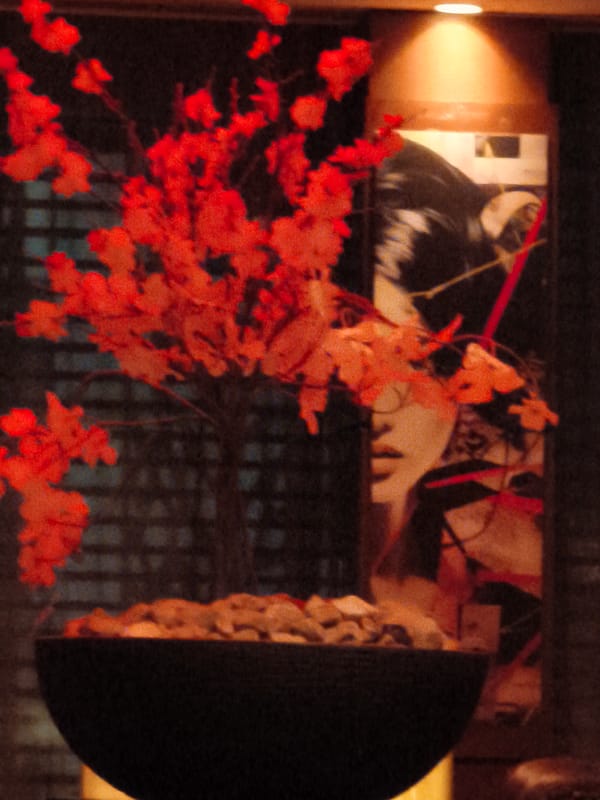 Sushi dinner at a moody bar-restaurant in Be'er Sheva