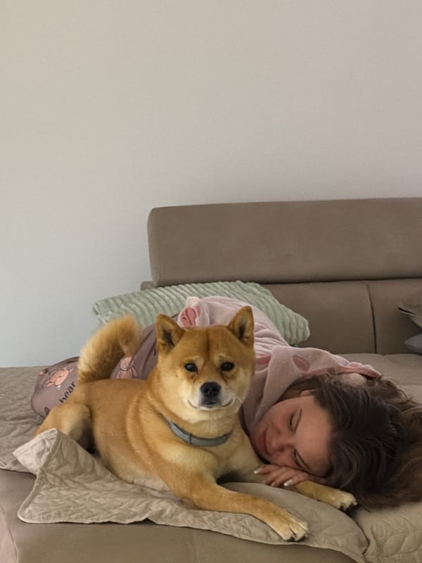 Woman and dog share quiet moment on sofa in Bulgaria