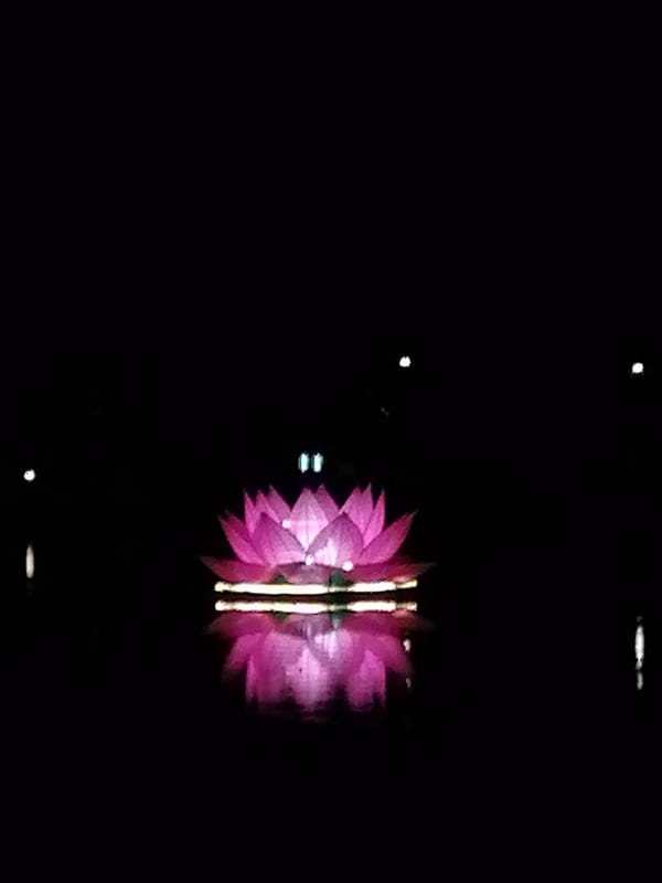 Nighttime lakeside scenes captured around illuminated lotus displays in Da Lat