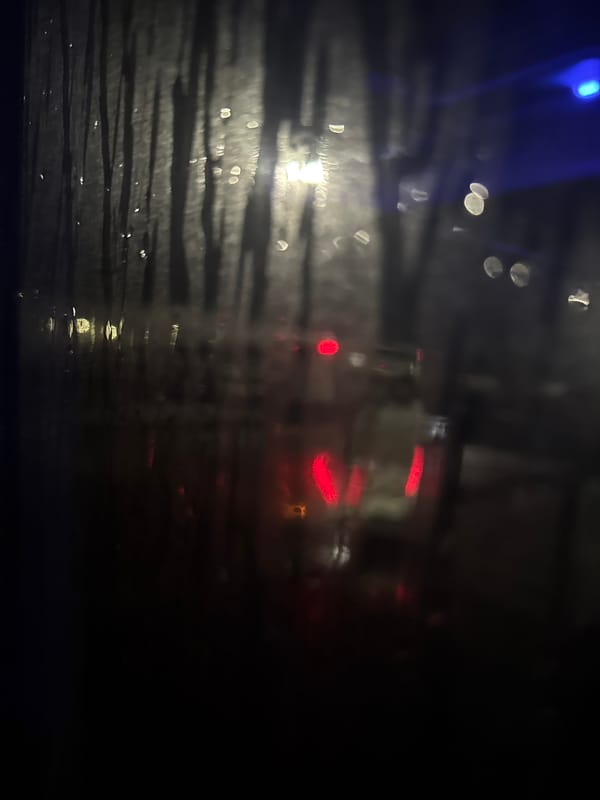 Rainy driving conditions documented in Lupanovo, Russia
