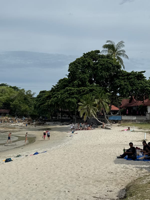 Quiet tropical beach, palms, lounge chairs, and local details