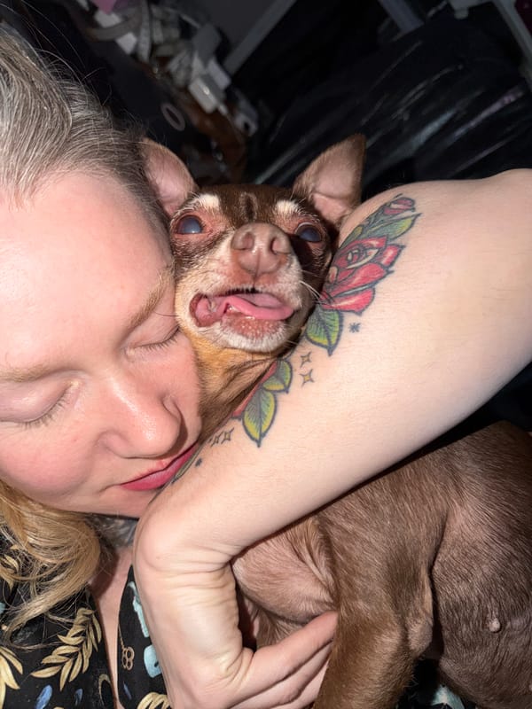 Person rests with chihuahua on face in Saint Petersburg