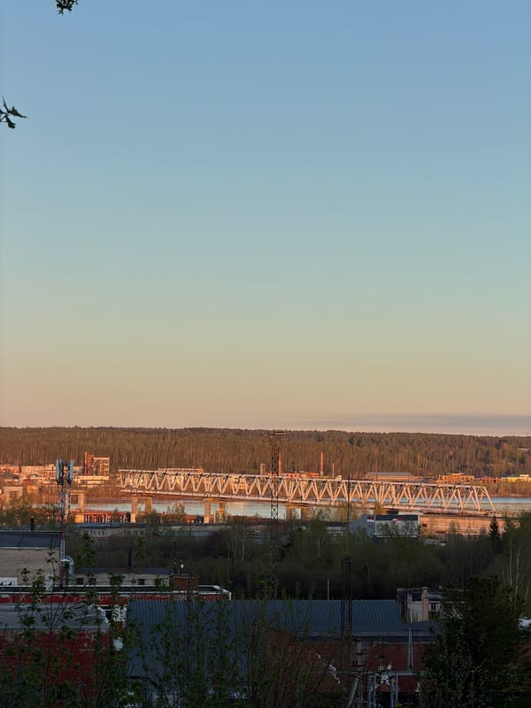 Witness documents Perm cityscape views from forested overlooks