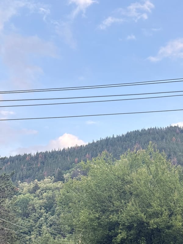 Unknown witness captures 16 rural landscape memories over 14 minutes
