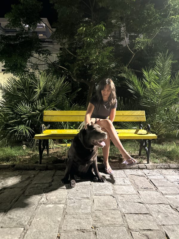 Evening stroll: Woman and dog spend quiet night in Budva
