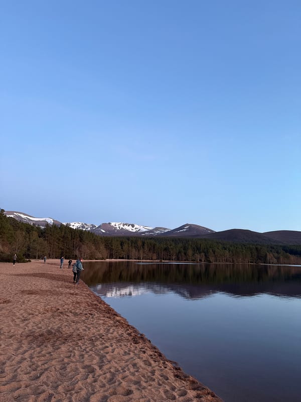 Witness Documents Serene Lake Landscape During Golden Hour