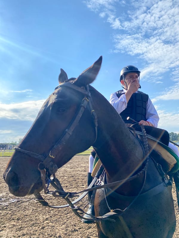Equestrian event draws crowds at Buenos Aires racing track