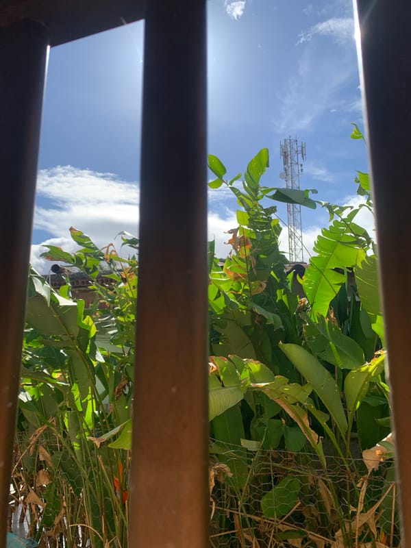 Window view captures Santa Ana landscape with communications tower