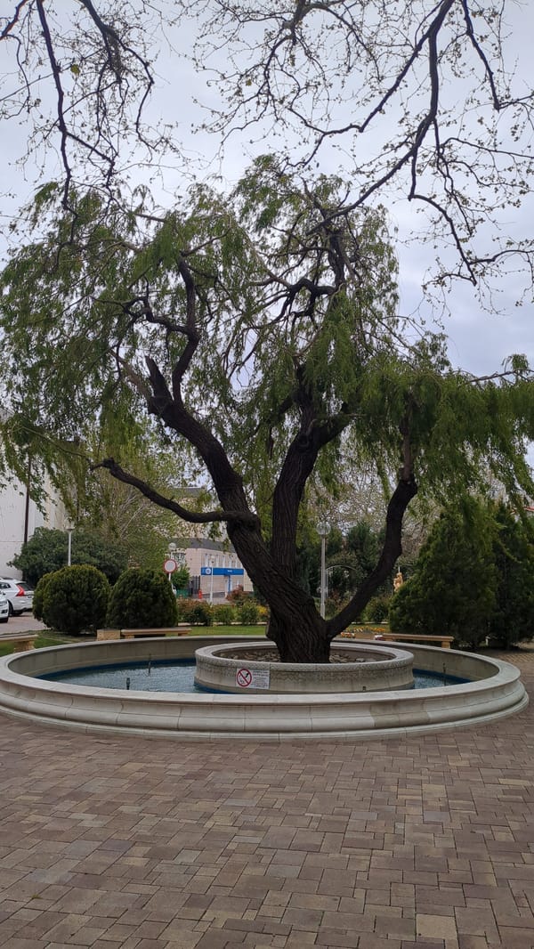 Morning scenes captured across Gelendzhik waterfront and parks