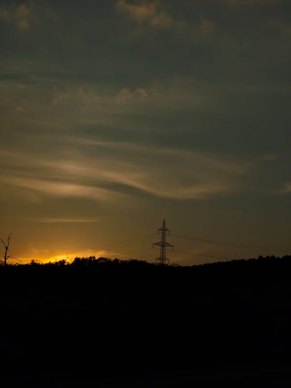 Sunset observed through silhouetted trees near Aksakovo, Bulgaria