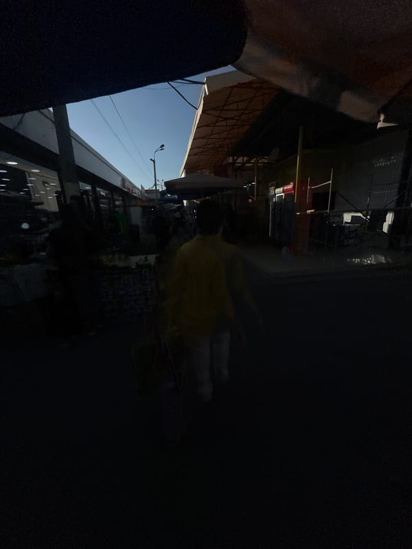 Tashkent market district, stalls and shops across one afternoon