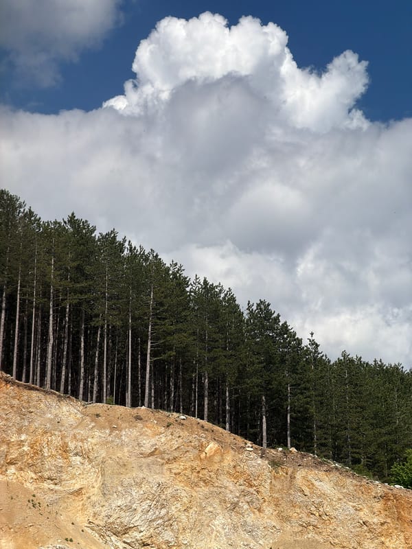 Rock face and dense trees observed in Otilovići, Montenegro