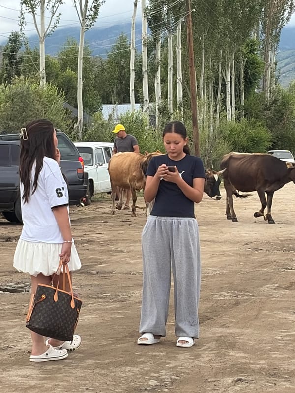 Rural market, lakeside, and mountain views on a cloudy morning