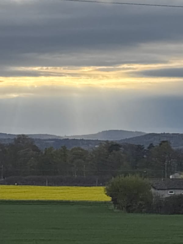 Sunlight breaks through clouds over flowering field in France