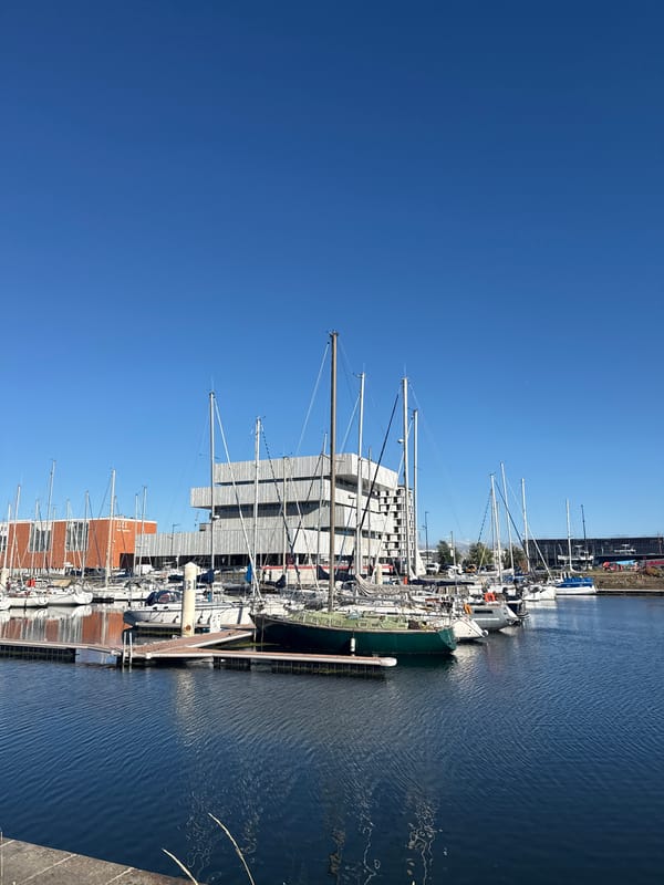 Le Havre marina and waterfront on a sunny afternoon