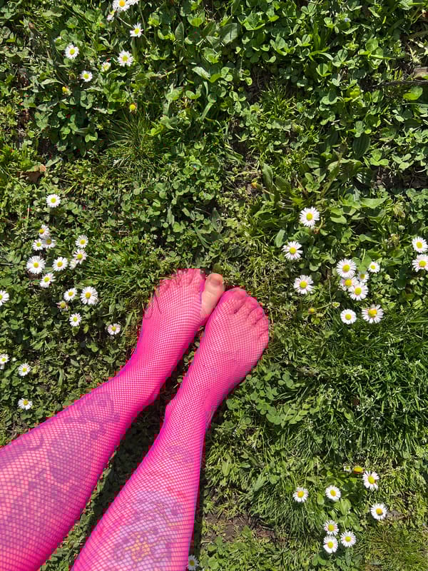 Spring afternoon moments captured across Belgrade parks and streets