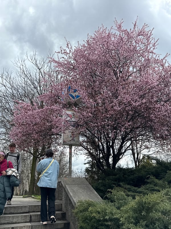 Sofia resident captures spring city scenes, amusement rides