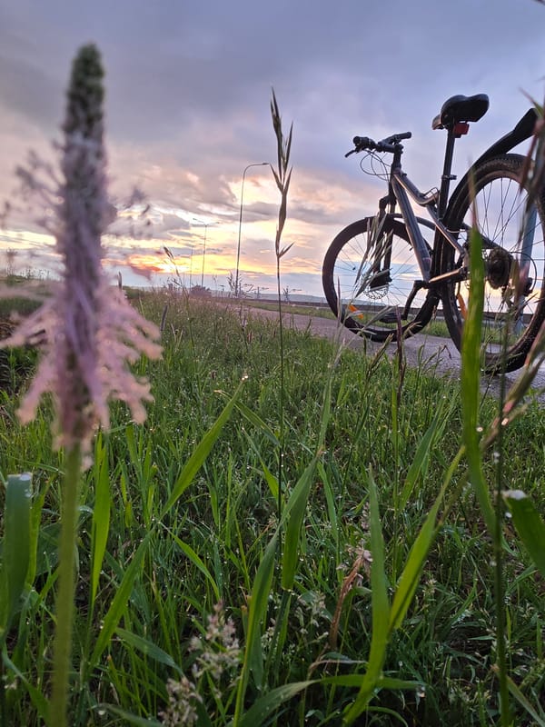 Evening cyclist spotted on pathway in Chaikovsky, Russia