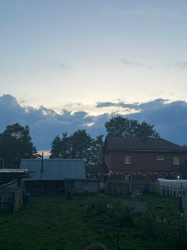 Village life unfolds in Rusalevka: children, families, dogs