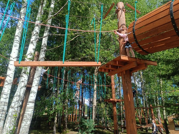 Ropes course adventure in a birch forest, Chusovoy