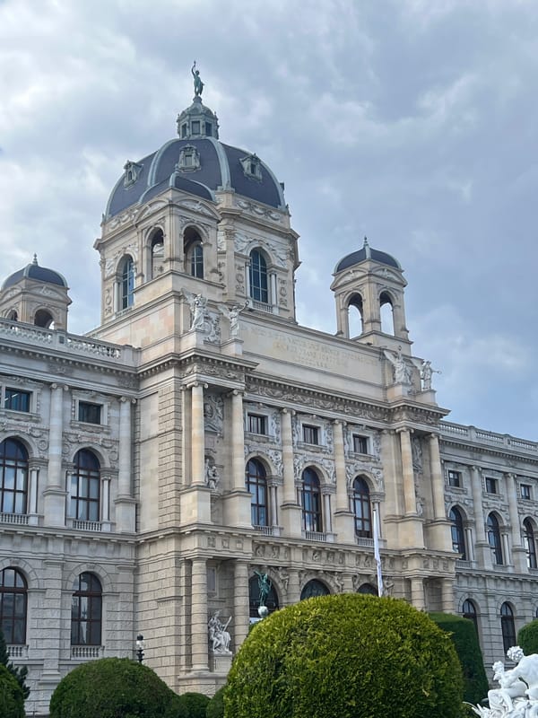 Vienna museum and gallery visits documented by witness