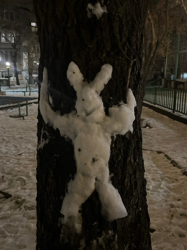 Snow figure spotted on tree trunk in Yerevan