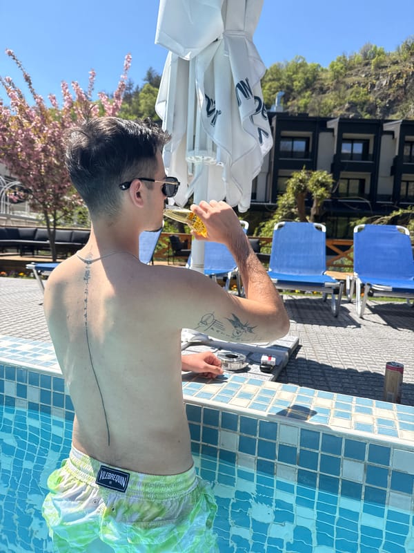 Pool activities captured in Marchevo, Bulgaria