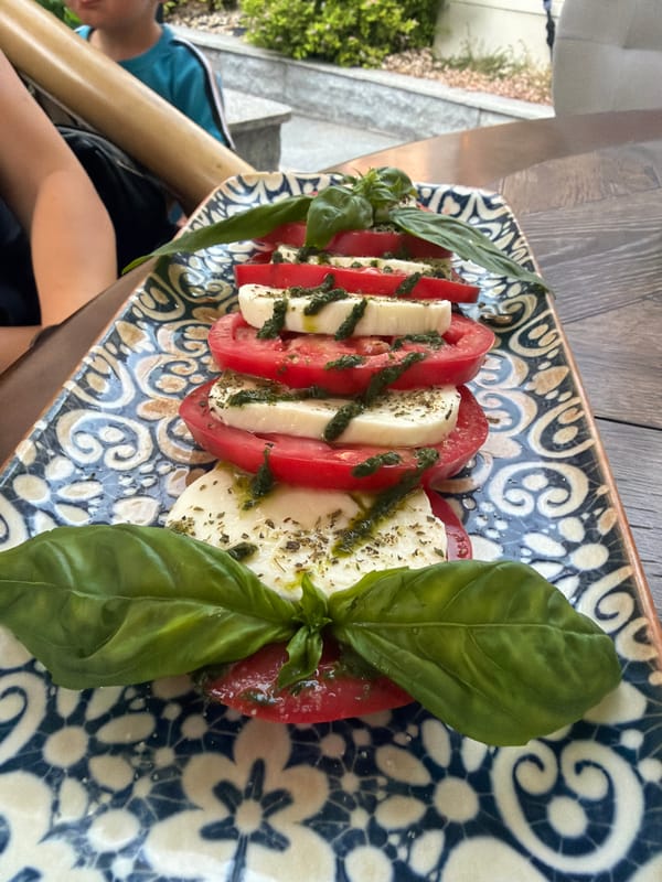 Caprese and white wine at a Burgas restaurant